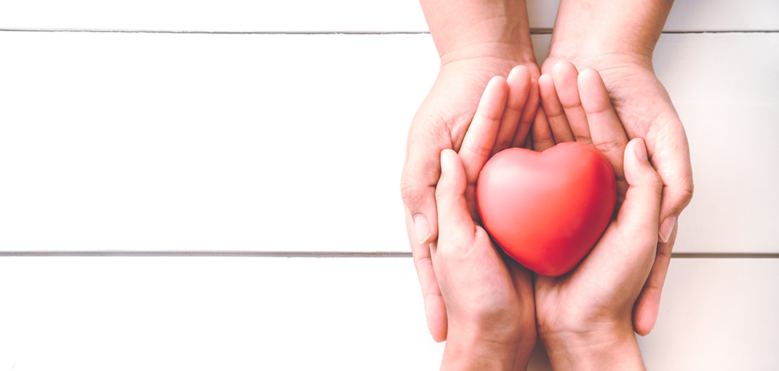 Image of hands holding a plush heart
